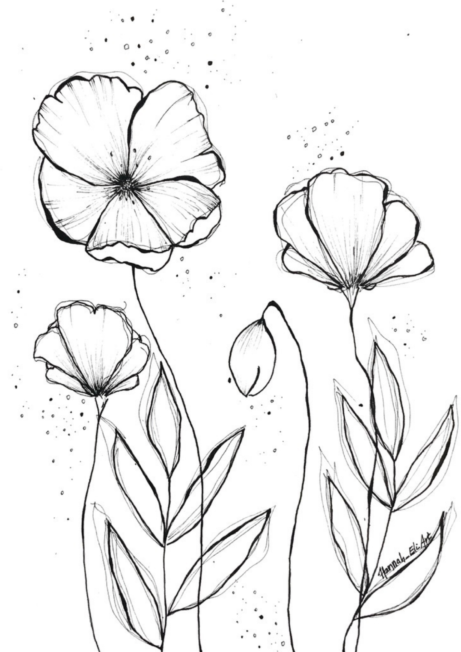 Poppies